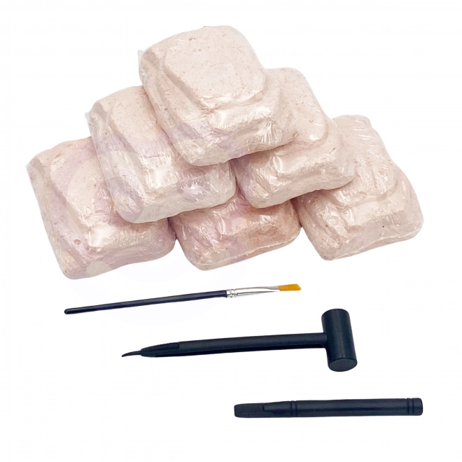 Set van 6 dinosaurussen