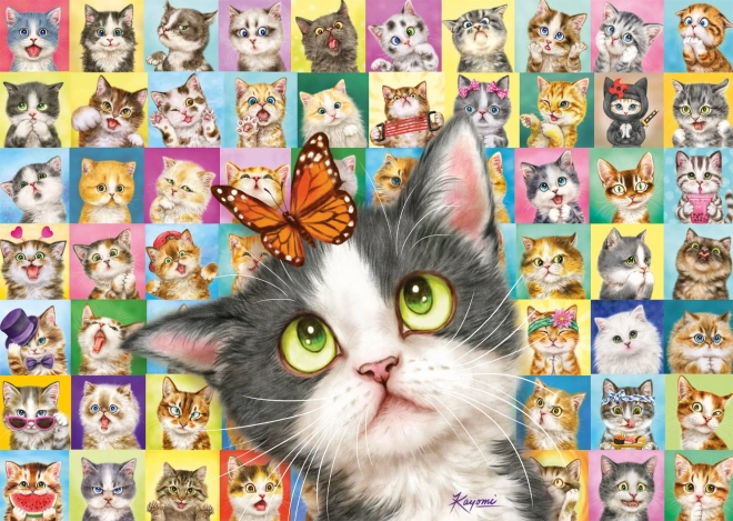 Puzzle SCHMIDT – kattenuitdrukkingen, 1000 stukjes