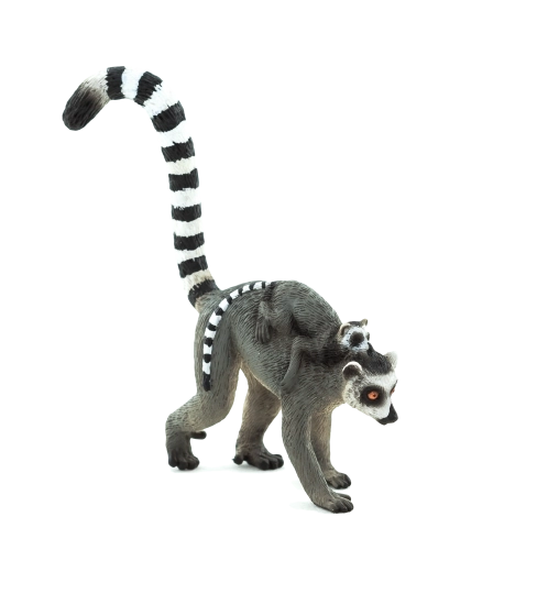 Mojo Lemur met jong