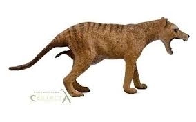 COLLECTA buidelwolf (Tasmaanse tijger) - vrouwtje