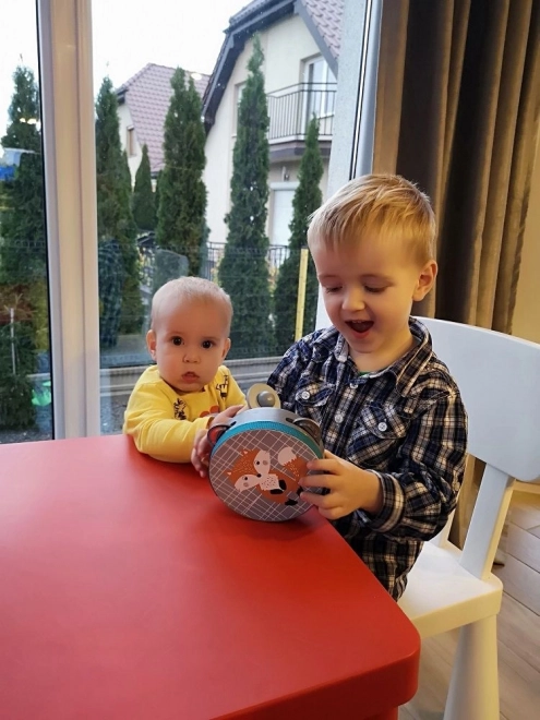 Maracas met vos