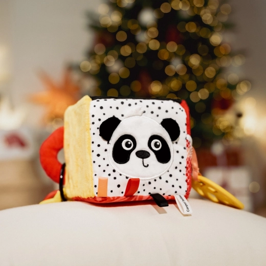 Contrasterende stimulatie van het zicht vanaf het eerste moment