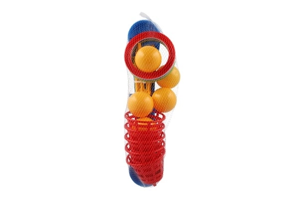 Gooi spel plastic kruis met ringen + mandjes met balletjes in net