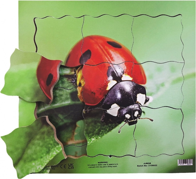 Just Jigsaws Houten gelaagde puzzel Lieveheersbeestje en zijn levenscyclus 19 stukjes