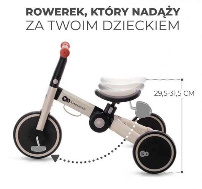 Driewieler 4TRIKE SILVER GREY