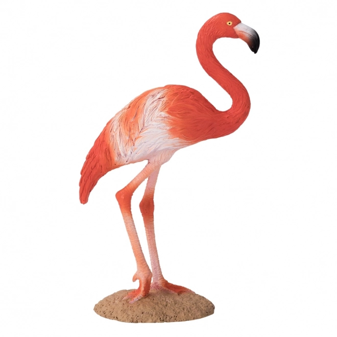 Mojo Amerikaanse Flamingo