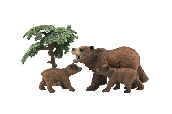 Dierentuin Dieren - Beren