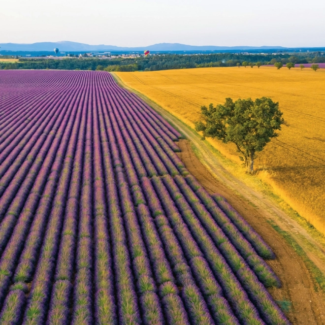 Notitiekalender Provence 2026