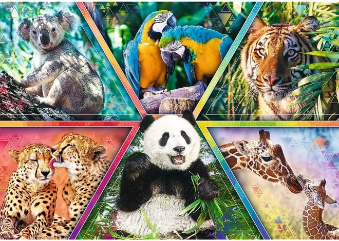 Levendige collage van de wilde natuur