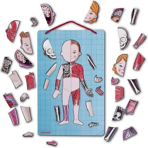 Magnetisch ophangbord