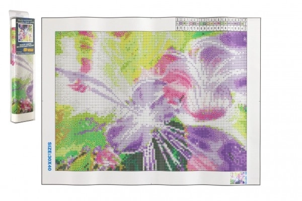 Set voor diamant schilderen - magische violiste