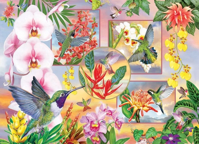 Puzzel Kolibries 500 stukjes