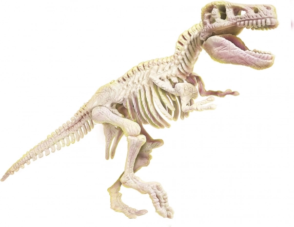Lichtgevend T‑Rex-skelet
