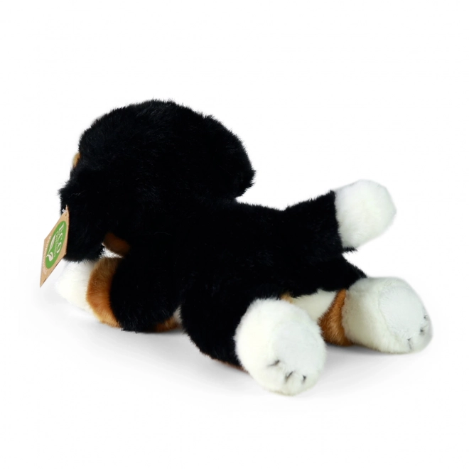 Pluchen Berner Sennenhond liggend 20 cm MILIEUVRIENDELIJK