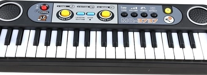 Elektronisch keyboard met microfoon, 37 toetsen