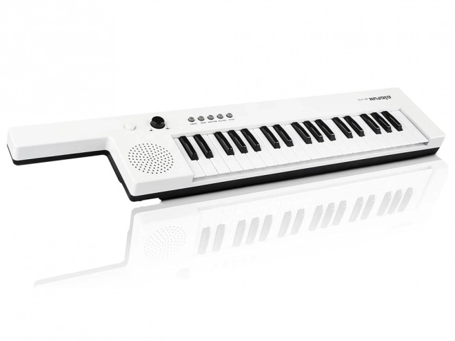 Elektronisch orgel Toetsenbord met handvat muziekspeeltje 37 toetsen IN0172
