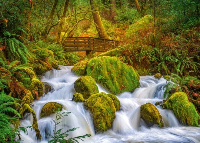 Puzzel Boswaterval 1000 stukjes