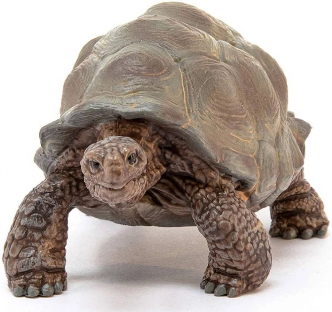 SCHLEICH Wild Life® 14824 reuzenschildpad