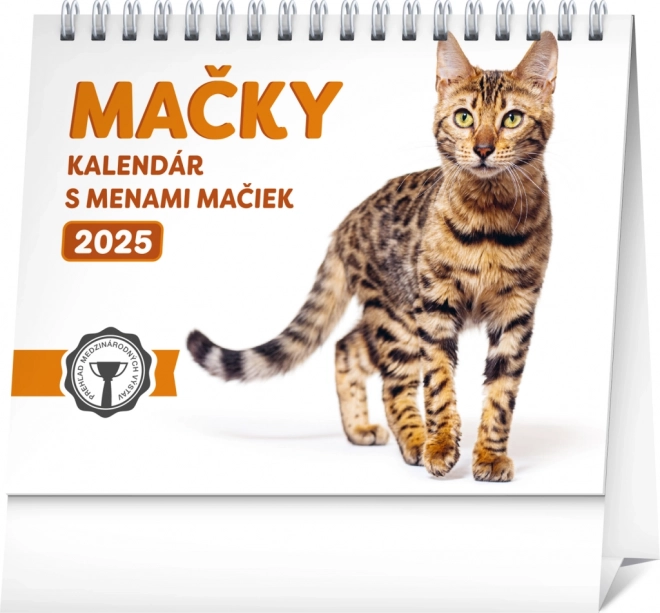 NOTIQUE Bureaukalender Katten – met kattennamen 2025, 16,5 x 13 cm