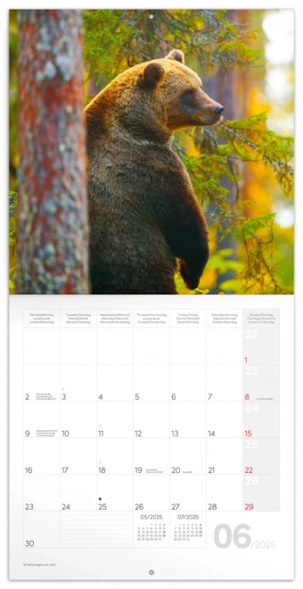 NOTIQUE Notitiekalender Bosdieren 2025, 30 x 30 cm