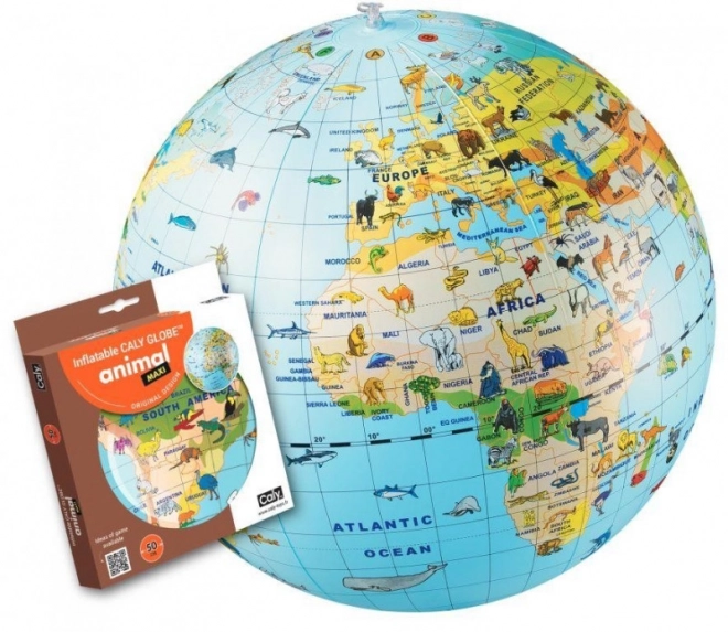 Bal Caly Globe 50 cm - Dieren