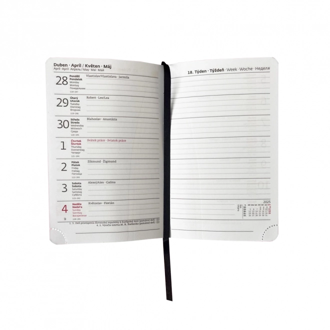 Weekagenda A6 2025 Pastelini groen