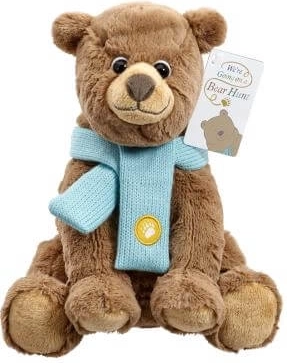 Pluchen teddybeer met blauwe sjaal