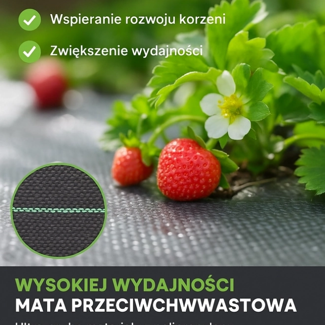 zwarte agrotextiel 160 cm x 50 m UV 90g met ankers