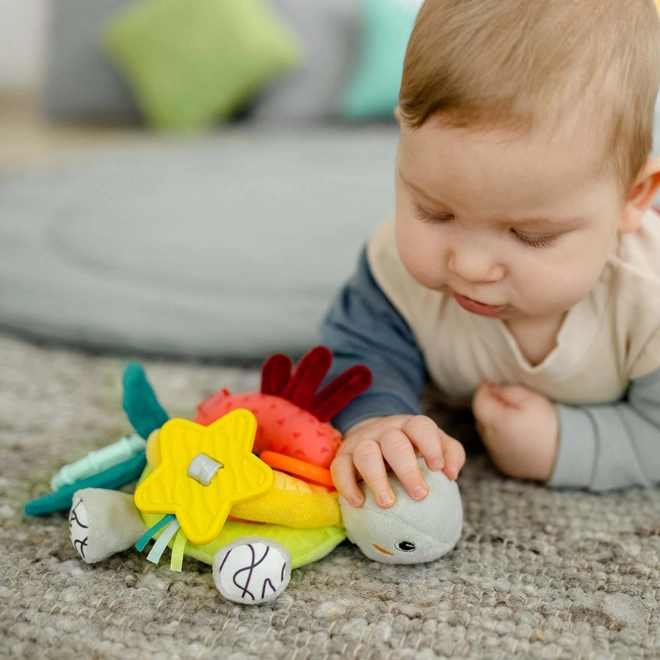 Aktiviteiten schildpad, DoBabyDoo