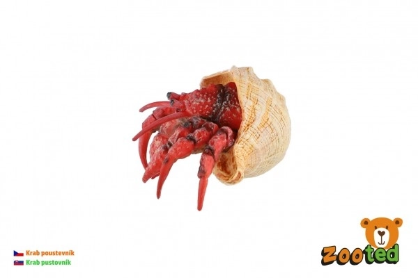 Heremietkreeft zooted plast 7cm in zak