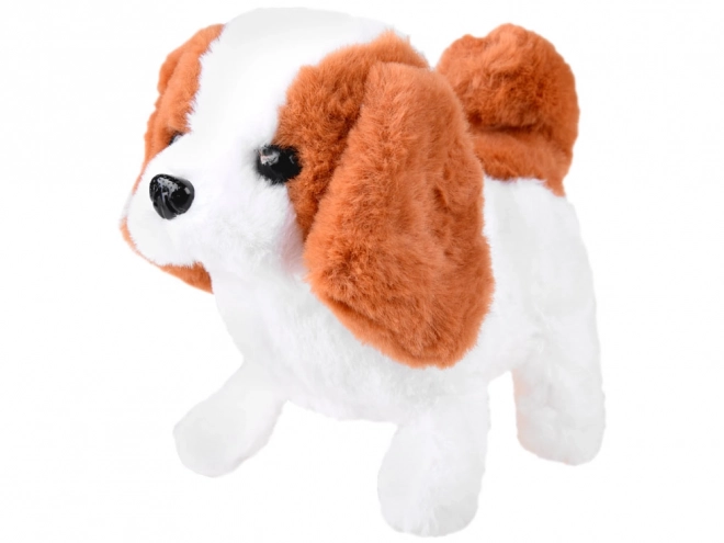 Interactieve Beagle Puppy met Uitrusting