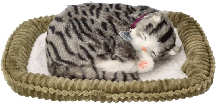 Realistisch ademen en uiterlijk