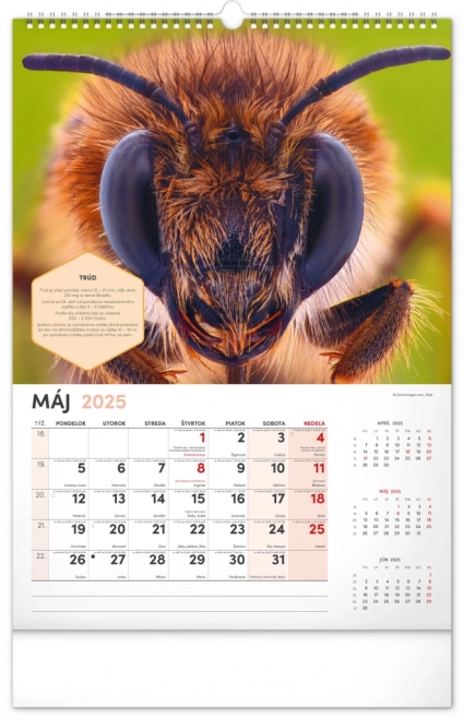 NOTIQUE Muur Bijenteelt Kalender 2025, 33 x 46 cm
