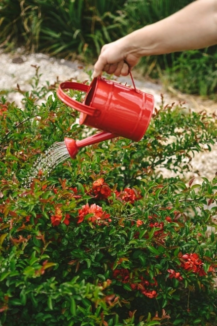 Tuin speelgoed - metalen gieter rood