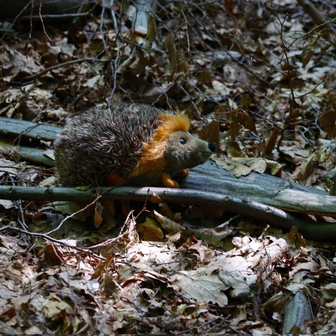 Pluchen egel 23 cm ECO-VRIENDELIJK