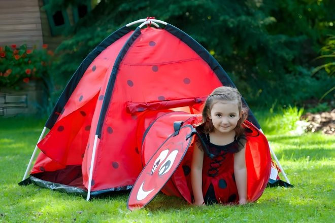 Tent lieveheersbeestje met tunnel