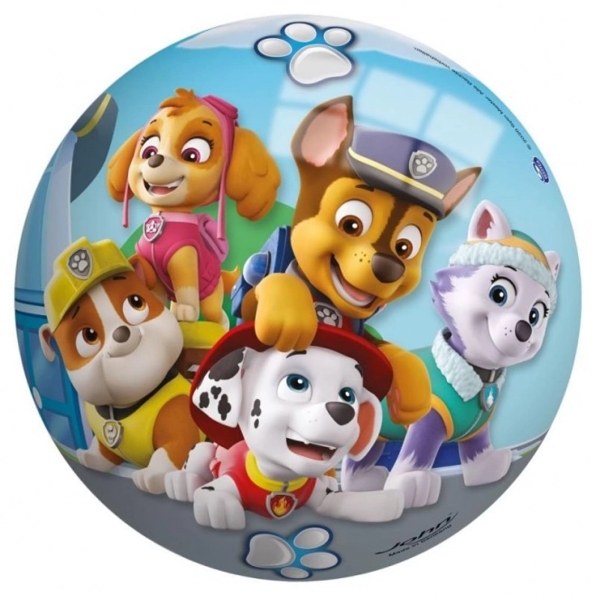 Bal Paw Patrol 230mm
