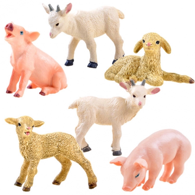 Schapen Geit Varken Huisdier ZA3384