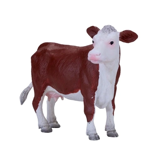 Mojo Hereford-koe