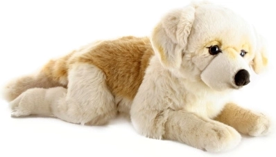 Grote pluchen retriever 55 cm