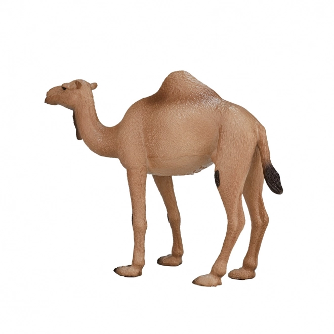 Mojo Animal Planet Dromedaris