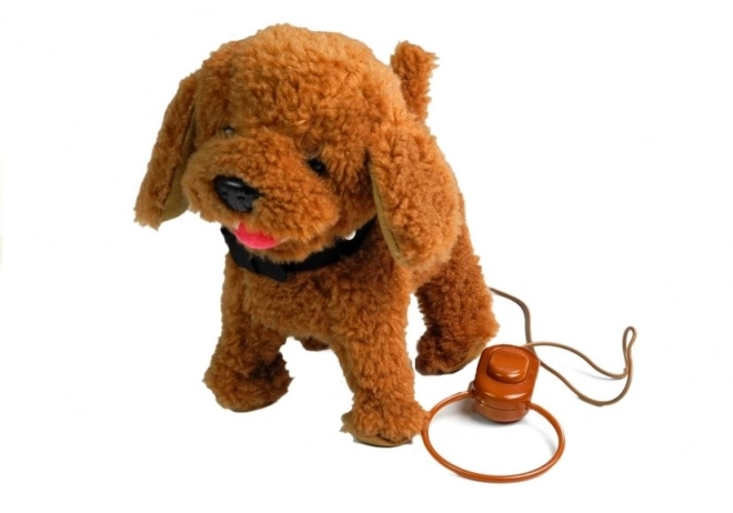 Interactieve Hond Hond aan de Leash Bruine Poedel