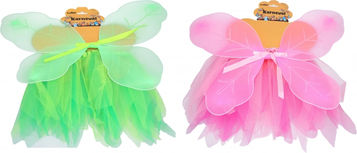 Carnavalsset vlinder voor kinderen
