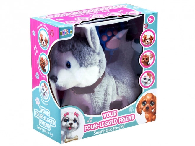 Interactieve husky hond aan een riem