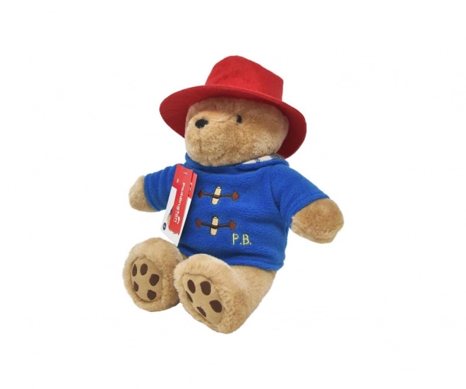 Regenboog Pluchen Paddington klein