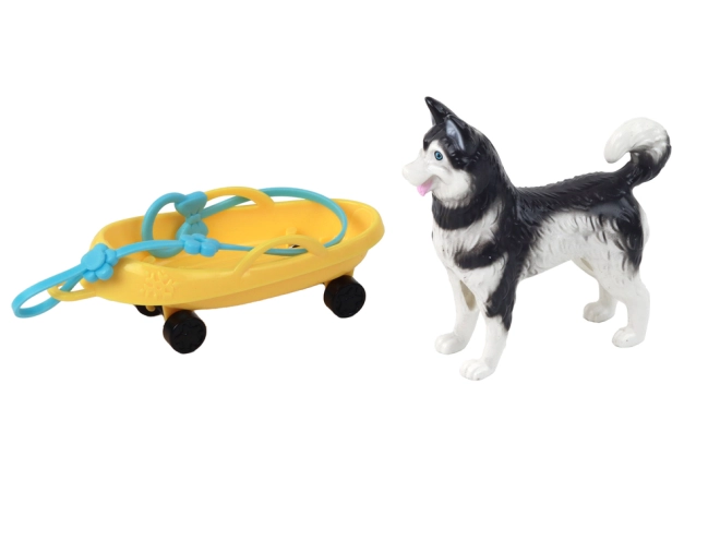 Husky Hond als trouwe metgezel