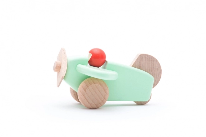 Houten vliegtuig met piloot menthol