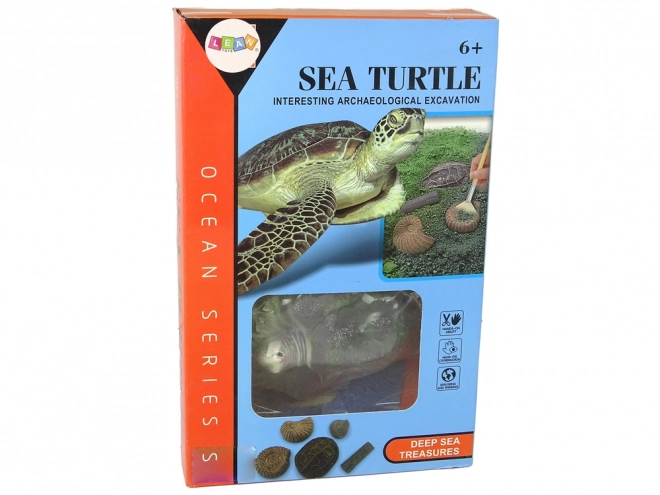Educatieve set ammonieten schildpad opgravingen
