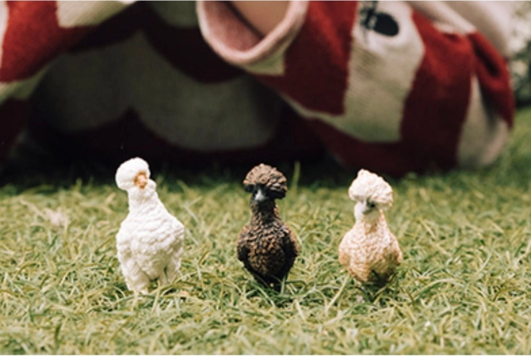 Drie kleurvarianten voor eenvoudig onderscheid