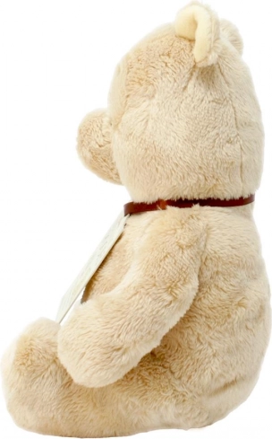 Regenboog Pluizige Winnie de Poeh